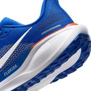 Florida Nike Zoom Pegasus 41 Shoes